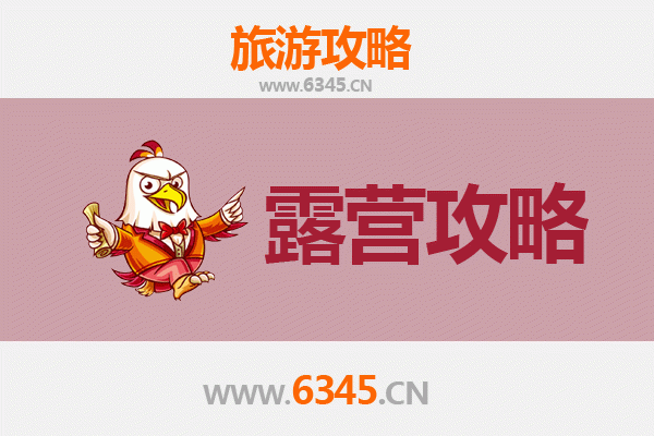 阿克苏沙雅周边露营胜地推荐：沙漠绿洲与胡杨林的星空之约